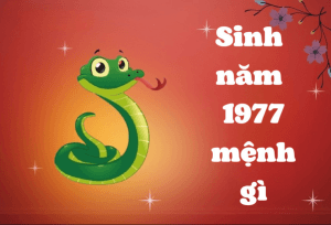 1977 mệnh gì, tuổi con gì? năm nay ra sao?