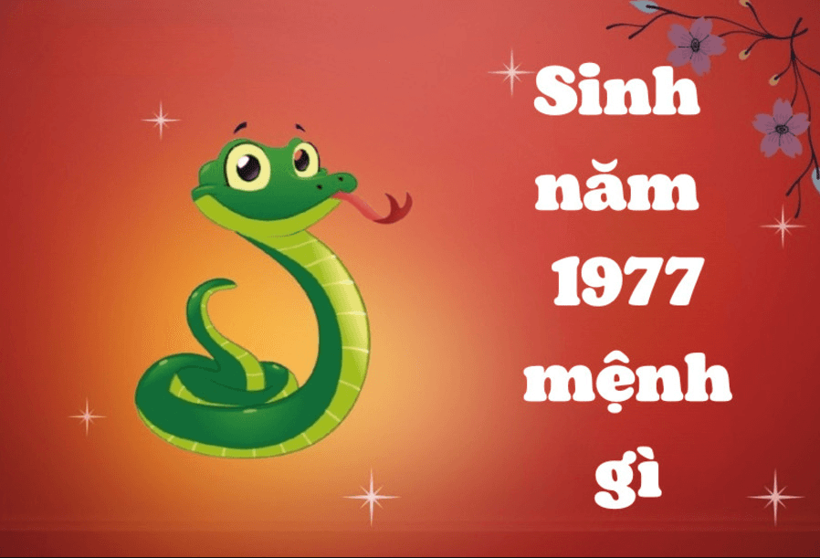 1977 mệnh gì, tuổi con gì?