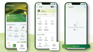 Voice OTT - thông báo biến động số dư trên VCB Digibank