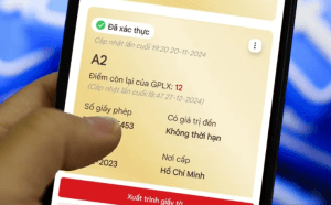 Chủ động đổi giấy phép lái xe với 4 bước đơn giản